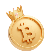 bitcoin level